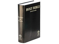 Xcase Buch Safe "Holy Bible" (Bibel)
